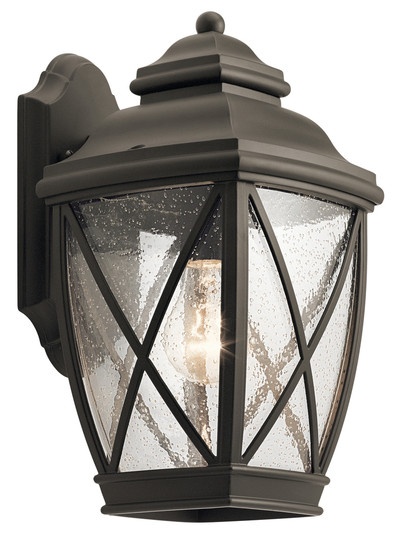 Tangier 13.5'' 1 Light Outdoor Wall Light with Clear Seeded Glass in Olde Bronze (2|49841OZ)