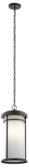 Outdoor Pendant 1Lt (2|49689OZ)