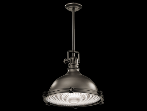 Hatteras Bay 19.5'' 1 Light Pendant with Clear Fresnel Lens Olde Bronze (2|2691OZ)