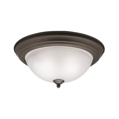 Flush Mount 2Lt (2|8112OZ)