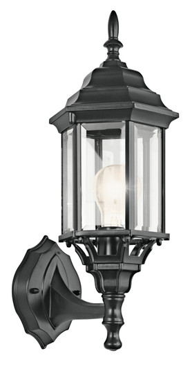 Outdoor Wall 1Lt (2|49255BK)