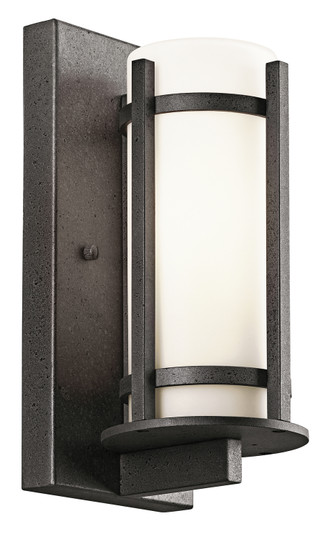 Outdoor Wall 1Lt (2|49119AVI)
