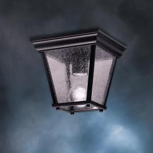 Outdoor Ceiling 1Lt (2|9859BK)