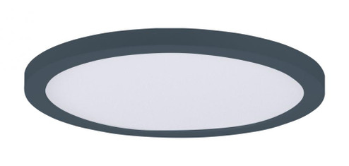 Chip-Flush Mount (19|57692WTBK)