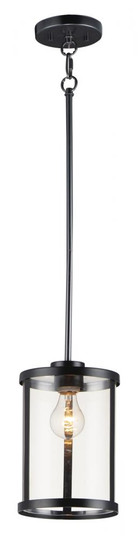 Sentinel-Single Pendant (19|25252CLBK)