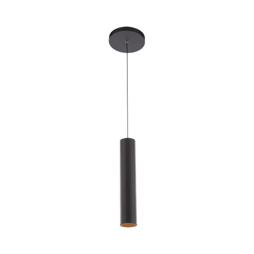 Silo 2020 Monopoint Pendant (1357|PD-2020-935-BK/BK)