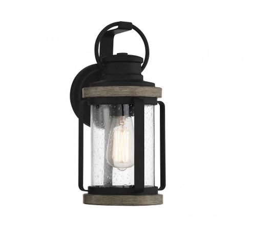 Parker 1-Light Outdoor Wall Lantern in Lodge (128|5-2951-185)