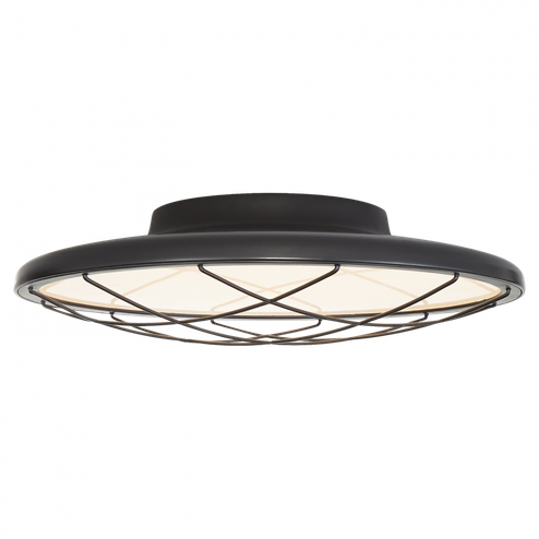 Dot 13'' Caged Flush Mount (279|PB 4001MBK)