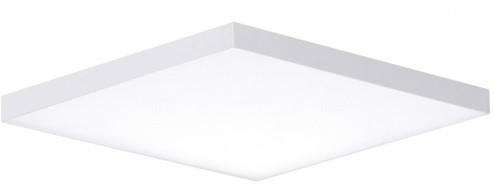 Trim-Flush Mount (19|57675WTWT) Trim-Flush Mount (19|57675WTWT)