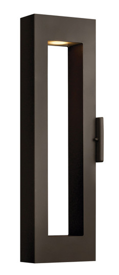 Large Narrow Wall Sconce (87|1644BZ-LL)