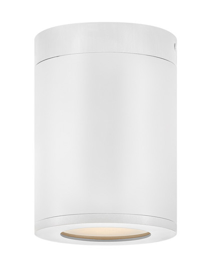 Extra Small Flush Mount (87|13592SW-LL)