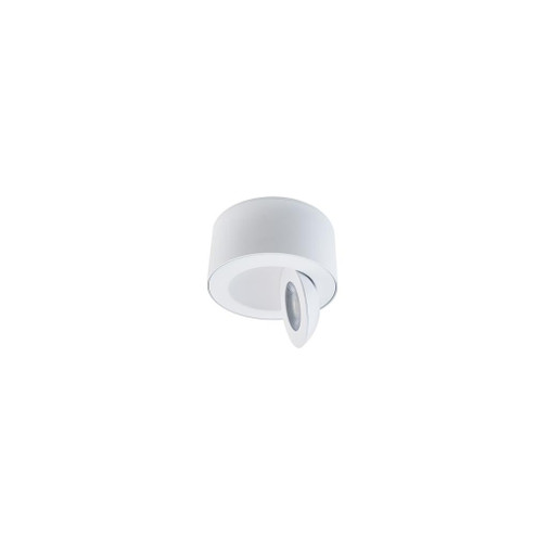 Peek Outdoor Flush Mount Light (1357|FM-W45205-30-WT)
