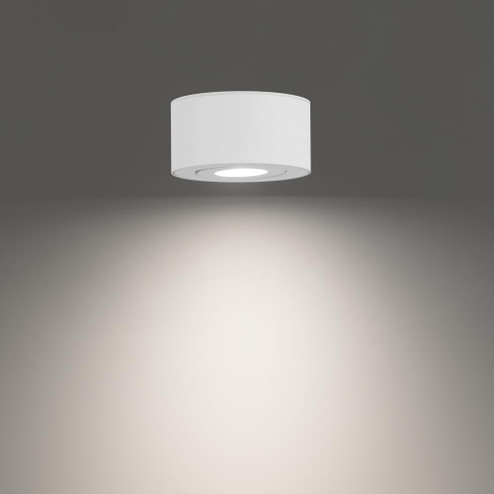 Peek Outdoor Flush Mount Light (1357|FM-W45205-40-WT)