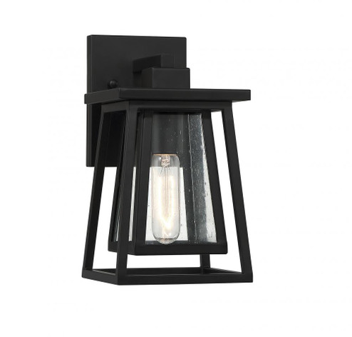 Denver 1-Light Outdoor Wall Lantern in Matte Black (128|5-2020-BK)