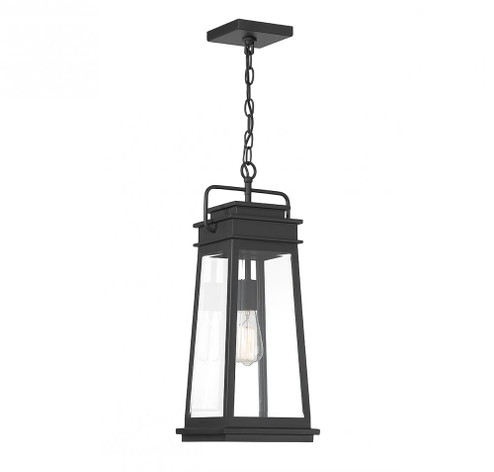 Boone 1-Light Outdoor Hanging Lantern in Matte Black (128|5-816-BK)