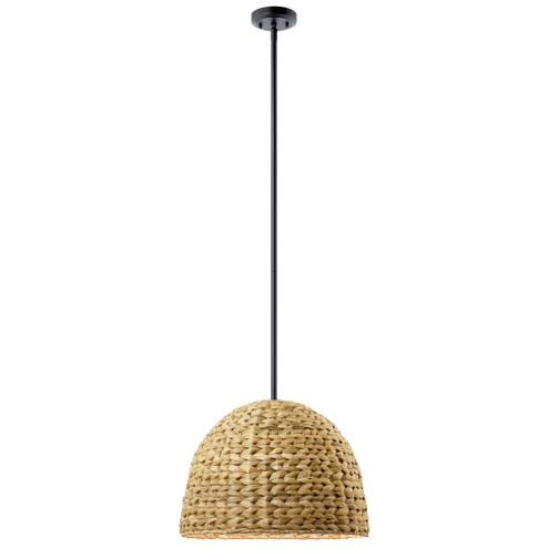 Raffiana 14'' 1-Light Pendant with Opal Glass in Black (2|44399BK)