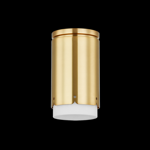 ASA Flush Mount (6939|H870501-AGB)