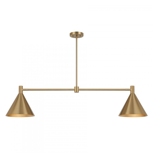 Pharos 2-Light Linear Chandelier in Noble Brass by Breegan Jane (128|1-8005-2-127)