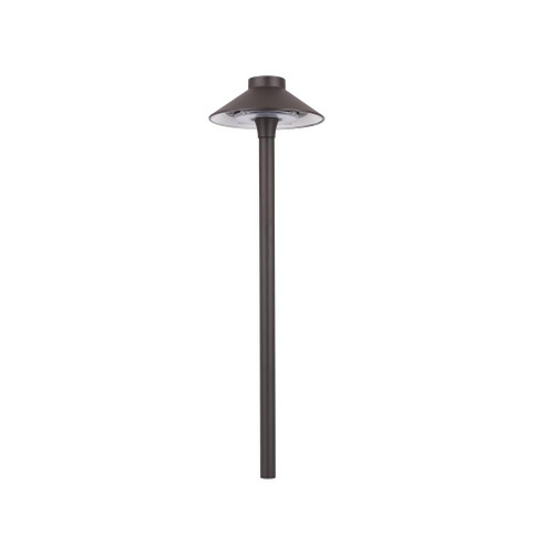 Smart Color Changing LED Landscape Tiki Path Light (1357|6841-CSBZ)