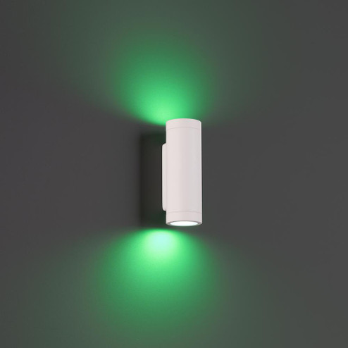 Smart Color Changing LED Landscape Wall Mount Cylinder (1357|3911-CSWT)
