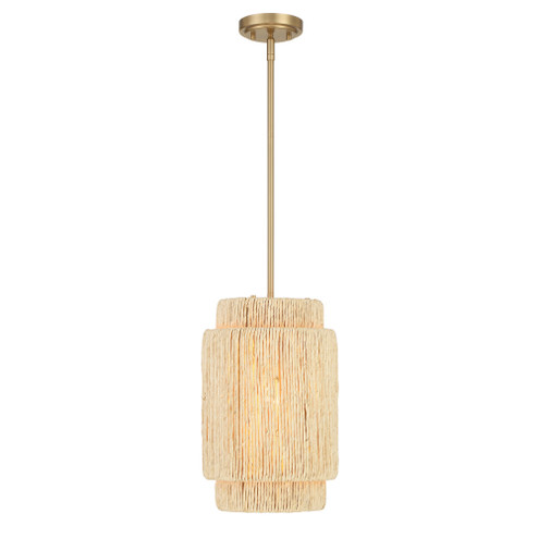 Caviana 1 Light Pendant (10|1225-894)