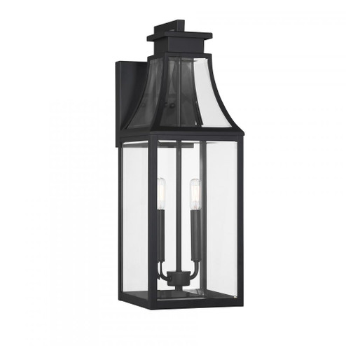 Emery 2-Light Outdoor Wall Lantern in Matte Black (128|5-607-BK)