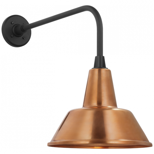 Academy 20'' Rex Barn Light (279|TOB 2809MBK/S1-SC)