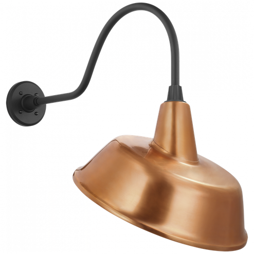 Academy 23'' Flynn Barn Light (279|TOB 2802MBK/S4-SC)