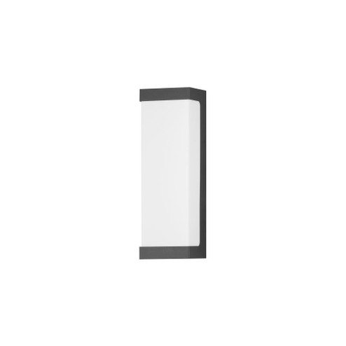 Tunnel-Outdoor Wall Mount (19|55522WTBK)
