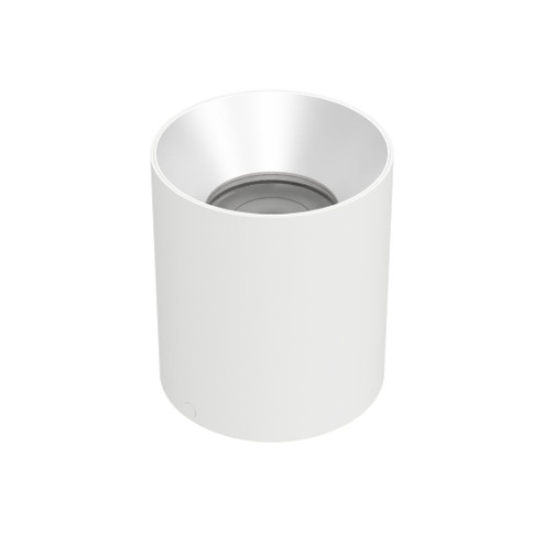 ZORON CEILING RND TRIMLESS FL 5CCT (1357|C4RL-FCS-WTHZ)