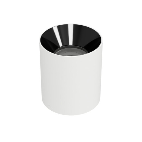 Zoron Round Flush Mount (1357|C4RL-NCS-WTBK)