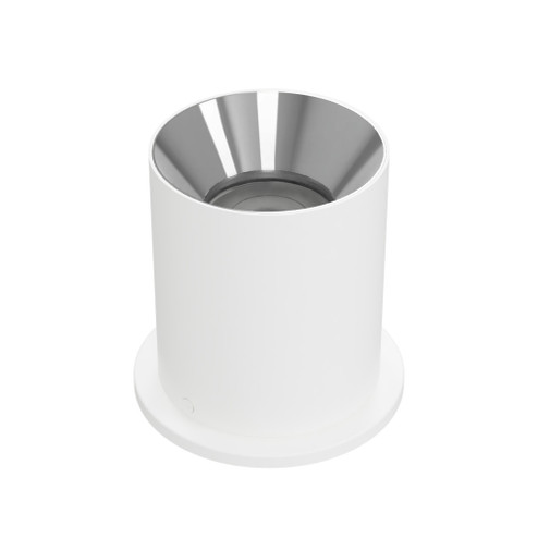 Zoron Round Flush Mount (1357|C4RT-FCS-WTCH)