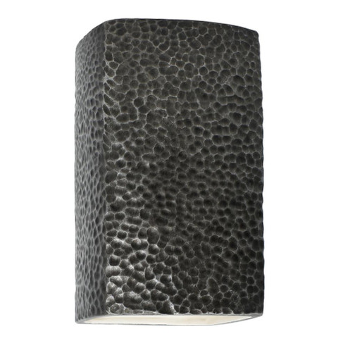 Large ADA LED Rectangle - Closed Top (Outdoor) (254|CER-5950W-HMPW-LED1-1000)