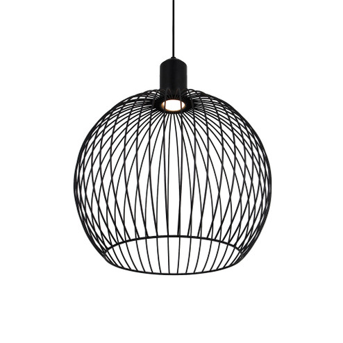 Orland 19'' LED Globe Cage Pendant (254|NSH-7011-MBLK)