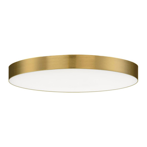 Trim-Flush Mount (19|57670WTSBR)