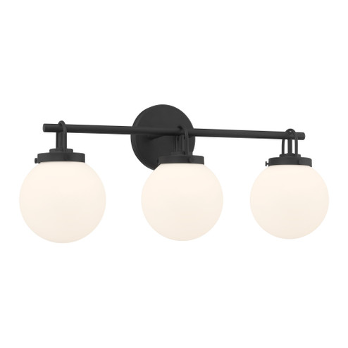 Ortesa 24'' 3-Light Vanity (10|12013-899)
