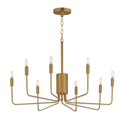 Abner 8-Light Chandelier (19|24868NAB)