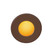 LED STEP LGT - 120V CIRCULAR FACE AM (1357|WL-LED310-AM-BZ)