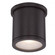 TUBE Outdoor Flush Mount Light (1357|FM-W2605-BZ)