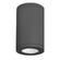 Tube Architectural 8'' LED Flush Mount (1357|DS-CD08-N35-BK)