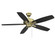 Wind Star 52'' Ceiling Fan in Estate Brass (128|52-830-5RV-148)