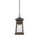 Taylor 1-Light Outdoor Hanging Lantern in English Bronze with Gold (128|5-243-213)