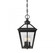 Ellijay 3-Light Outdoor Hanging Lantern in Black (128|5-146-BK)