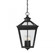 Ellijay 4-Light Outdoor Hanging Lantern in Black (128|5-145-BK)
