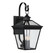 Ellijay 4-Light Outdoor Wall Lantern in Black (128|5-142-BK)