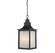 Monte Grande 3-Light Outdoor Hanging Lantern in English Bronze (128|5-256-13)