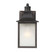 Monte Grande 1-Light Outdoor Wall Lantern in Slate (128|5-254-25)