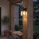 Monte Grande 1-Light Outdoor Wall Lantern in English Bronze (128|5-254-13)