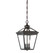 Ellijay 3-Light Outdoor Hanging Lantern in English Bronze (128|5-146-13)