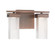 Dewberry Lane 2 Light LED Bath (10|4902-267-L)
